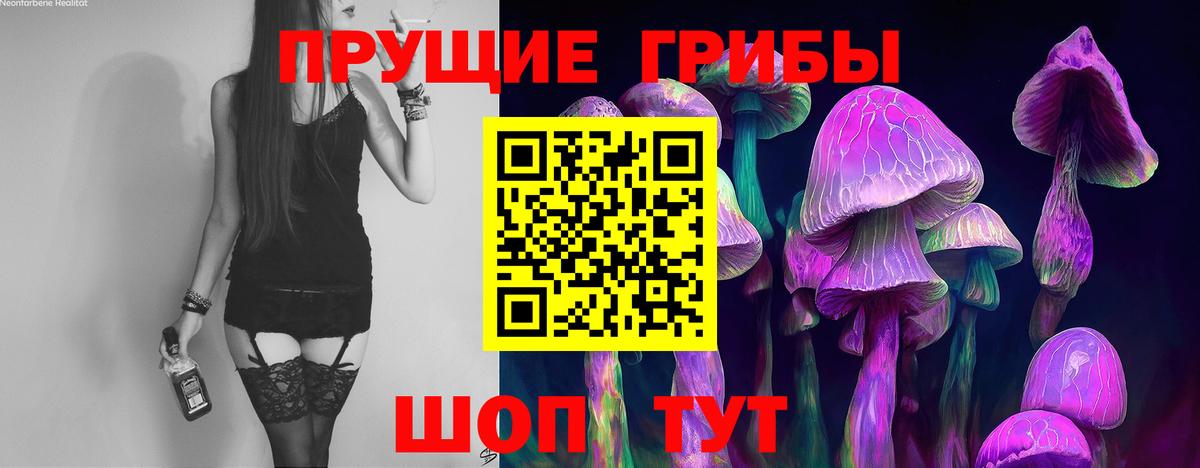 Галлюциногенные грибы Magic Shrooms  Вход с VPN  Галлюциногенные грибы мухоморы  купить наркотики цена  Балаково 